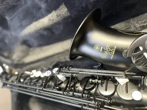 Yamaha Custom Ex Alto Saxophone (Elegant Black & Gold Edition)