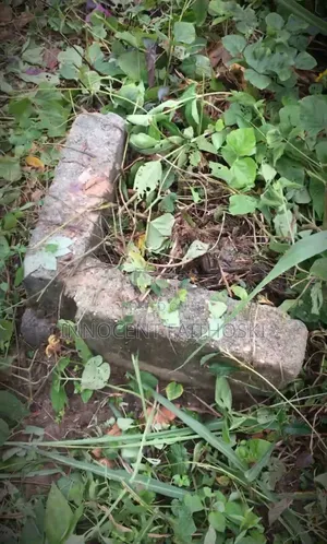 One Plot of Land for Sale at Uzaku