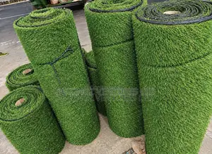 Grass Carpet Rug Astro Astroturf / Pay When Delivered