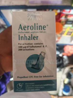 Aeroline Inhaler