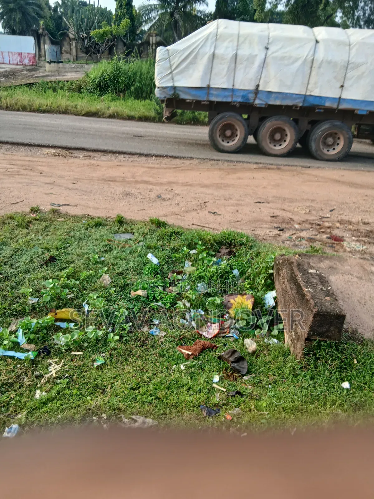 Delear of Kinds of Cement Both Dangote and Bua Cement