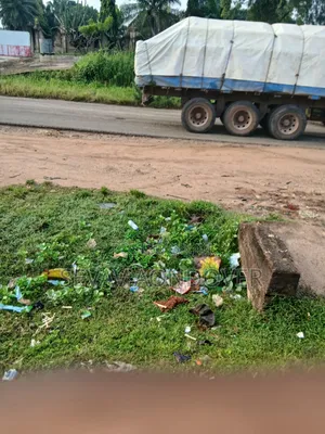 Delear of Kinds of Cement Both Dangote and Bua Cement