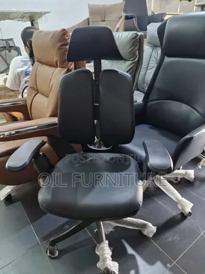 Orthopedic Executive Office Chair, Dual Backrest & Adjustable Headrest