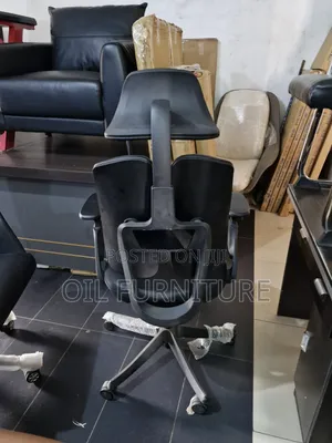 Orthopedic Executive Office Chair, Dual Backrest & Adjustable Headrest