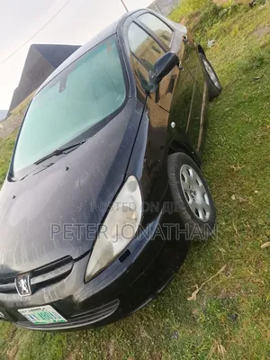 Peugeot 307 1.6 Premium 2005 Silver