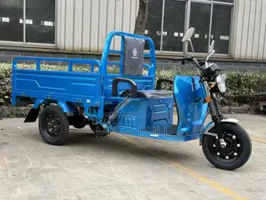 New Tricycle 2026 Green