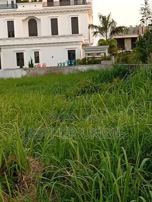 Land for Sale at Cowrie Creek