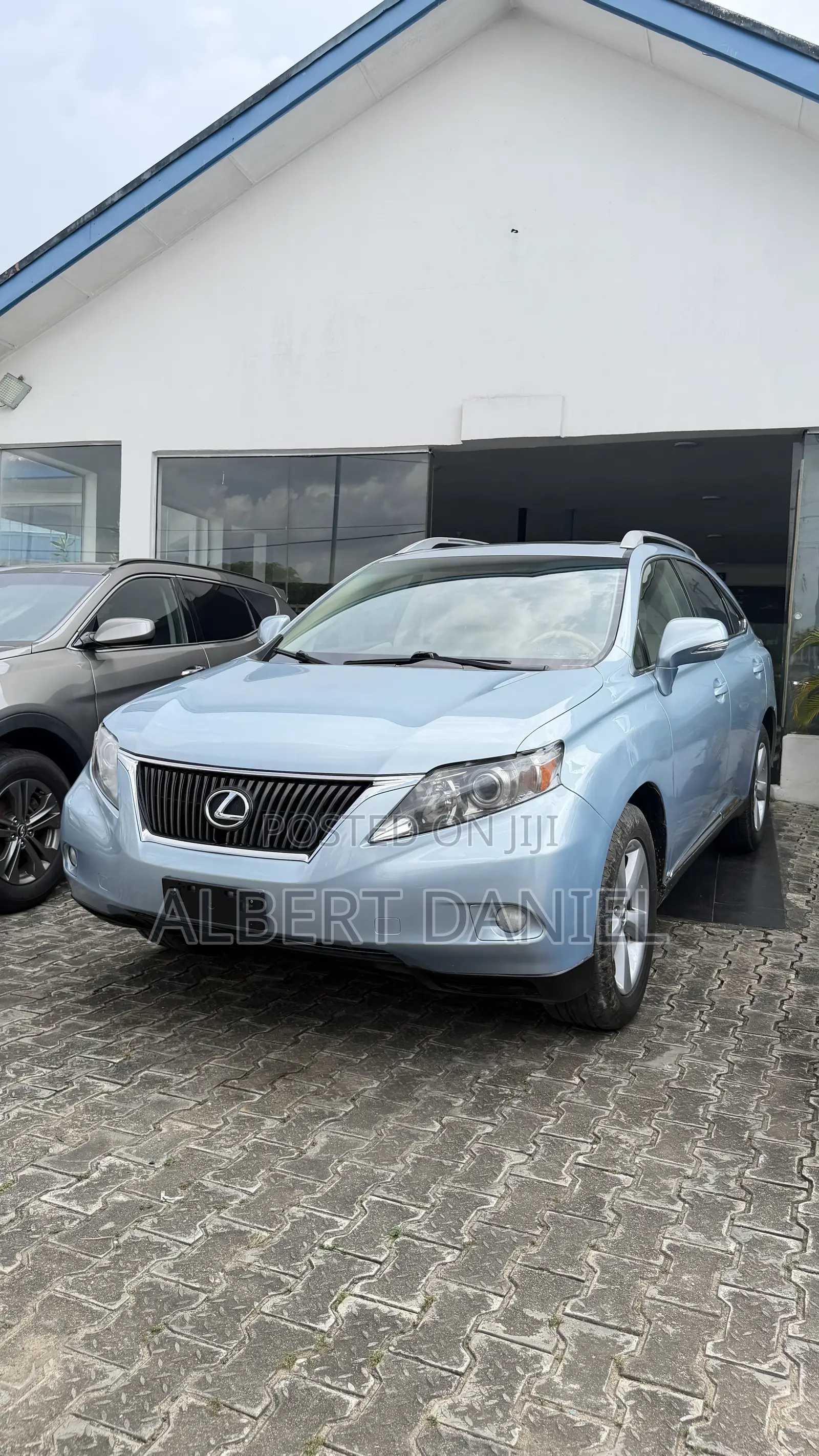 Lexus RX 2010 Blue