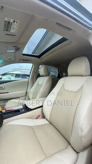 Lexus RX 2010 Blue