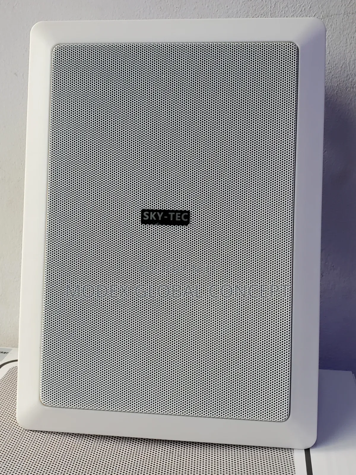 Sky-Tec Wall-Mounted Public Address Speaker for POP Ceiling or DRYWALL