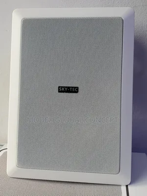 Sky-Tec Wall-Mounted Public Address Speaker for POP Ceiling or DRYWALL