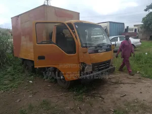 Isuzu Truck 2020 Orange