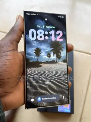 Samsung Galaxy S24 Ultra 256 GB Gray
