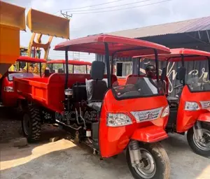 Site Dumper