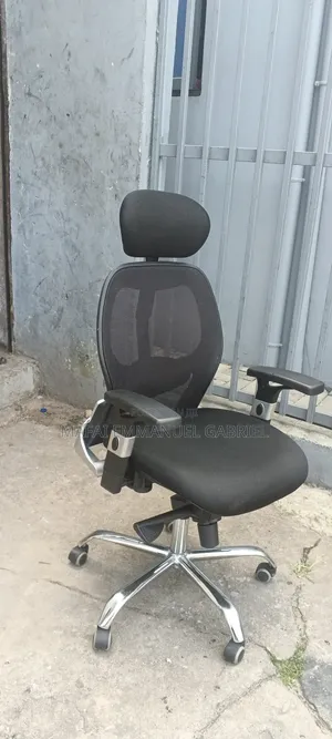 Ergonomic Chair