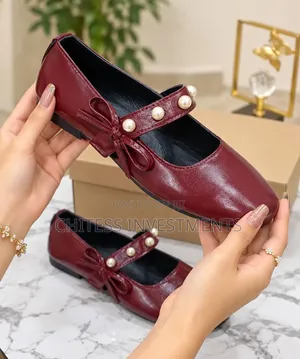 Latest Ballerina Design Shoe