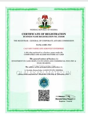 Cac Business Name Registration