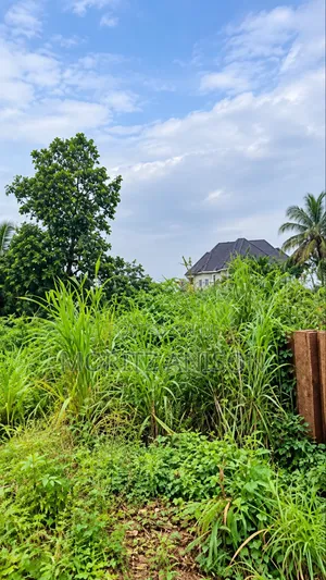 Land for Sale Kporoko Layout Trans-Ekulu, Enugu.
