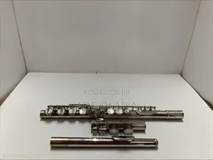 Eastar C Flute 16 Key Flute