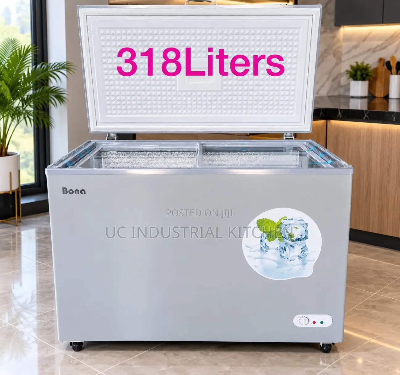 Solar Bona Freezer 318L