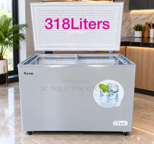 Solar Bona Freezer 318L