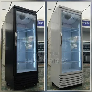 Inverter Single Door Chiller