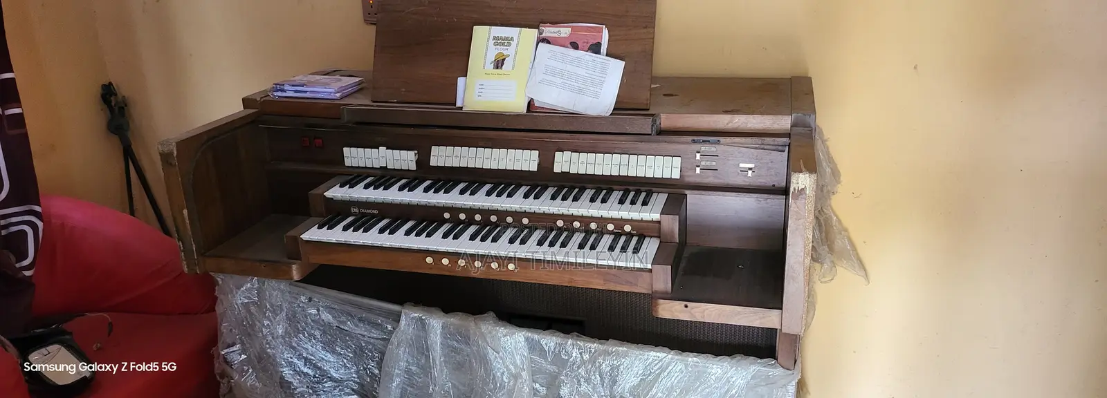 Electronic Organ Ecctesia