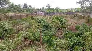 1 Plot of Land for Sale at See for Eye Abada, Airport Road.