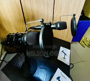 Microphone