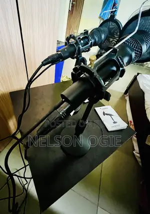 Microphone