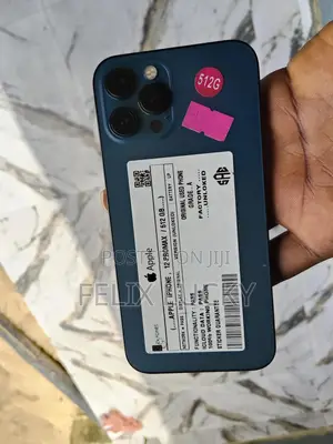 Apple iPhone 12 Pro Max 512 GB Blue