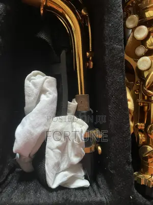 Alto Saxophone