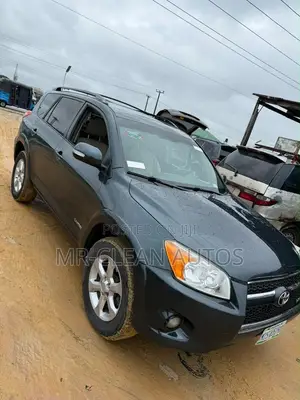 Toyota RAV4 2010 Blue