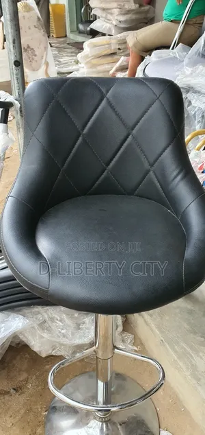 Salon Chair