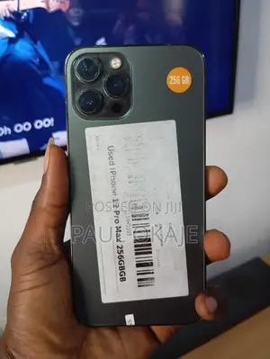 Apple iPhone 12 Pro Max 256 GB Gray