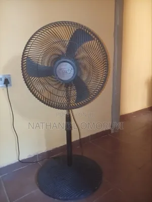 Standing Fan