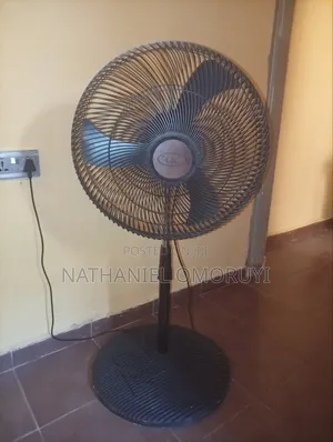 Standing Fan