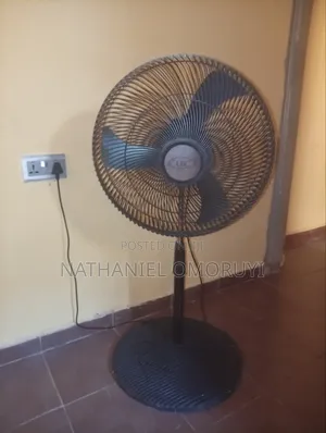 Standing Fan