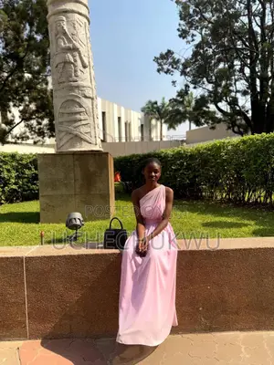 Stunning Pink Chiffon One-Shoulder Gown