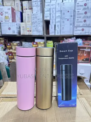 Temperature Display Bottle