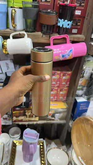 Temperature Display Bottle