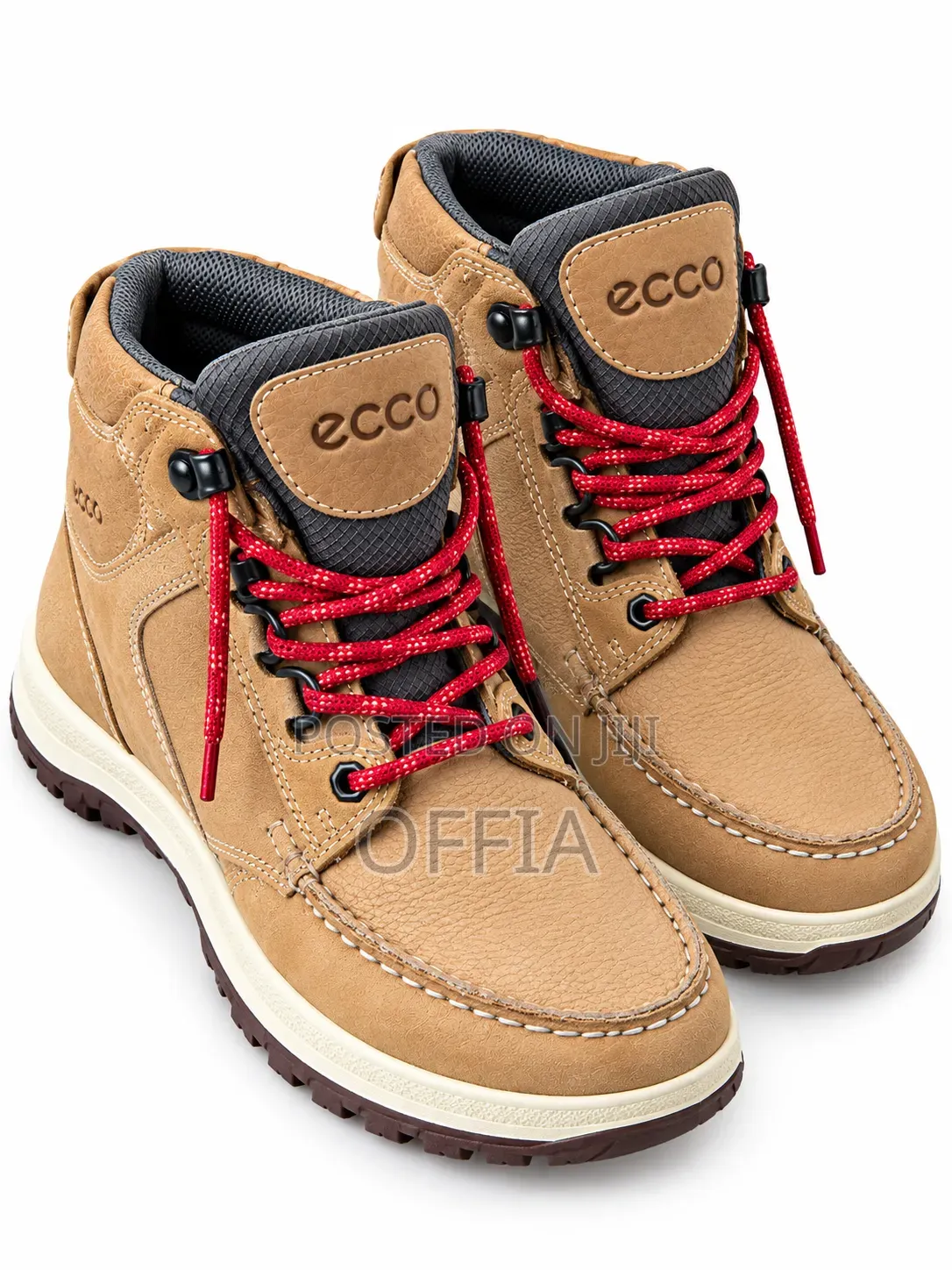 Quality Ecco Shoe