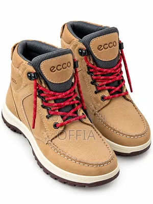 Quality Ecco Shoe