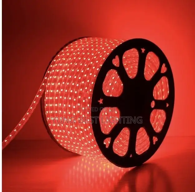 50 Miter Multicolour LED Rope Light for Homes & Events