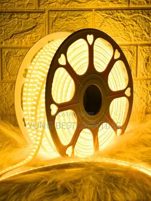 50 Miter Multicolour LED Rope Light for Homes & Events