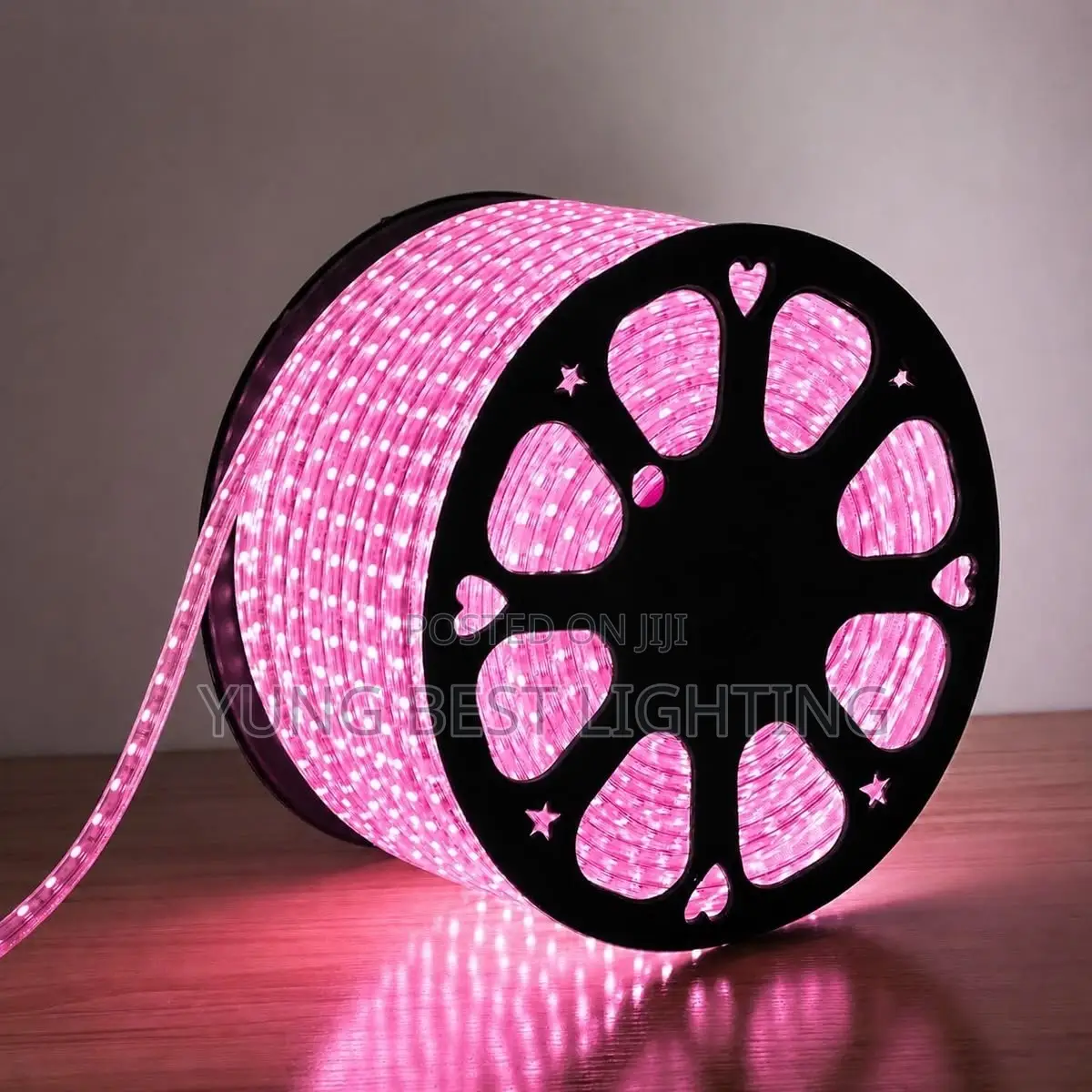 50 Miter Multicolour LED Rope Light for Homes & Events
