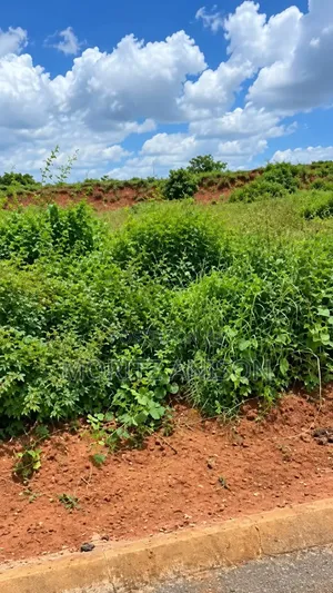 5 Plots of Land for Sale.