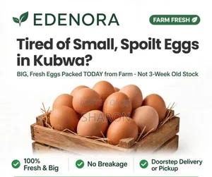 Eggs in Bulk