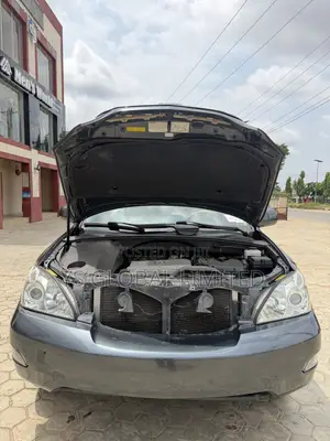 Lexus RX 2005 Gray