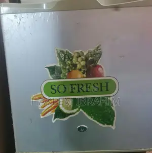 50 Liters Freezeclime Bedside Fridge